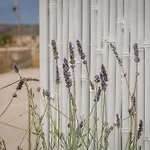 Casa Anna Boutique New Adamantas (Milos)